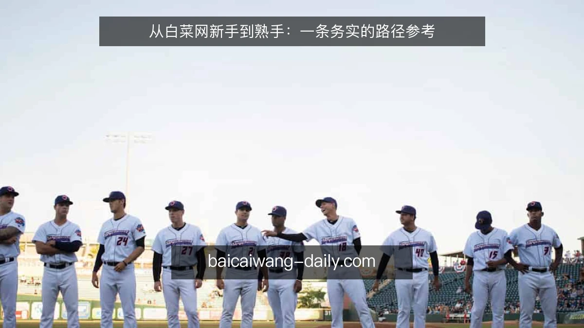 从白菜网新手到熟手:一条务实的路径参考
