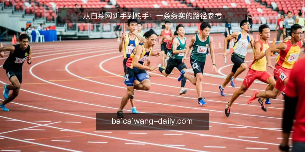 从白菜网新手到熟手:一条务实的路径参考 — 初期接触:信息整理比抢优惠更重要 配图