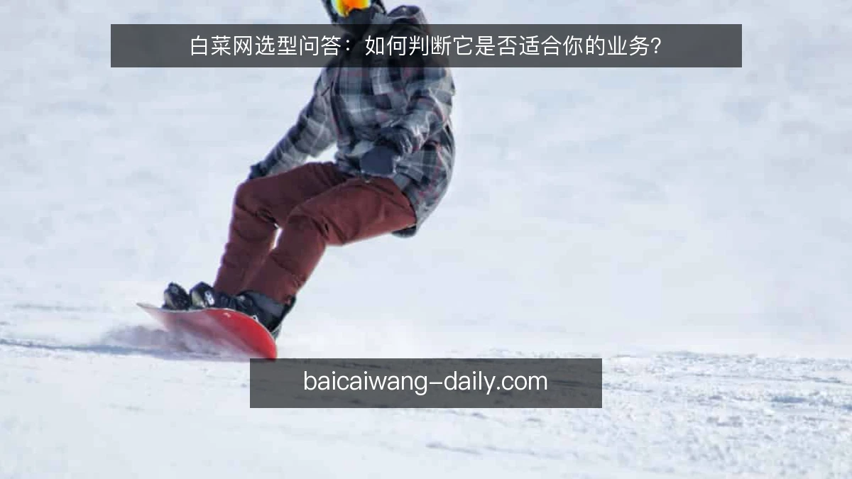 白菜网选型问答：如何判断它是否适合你的业务？