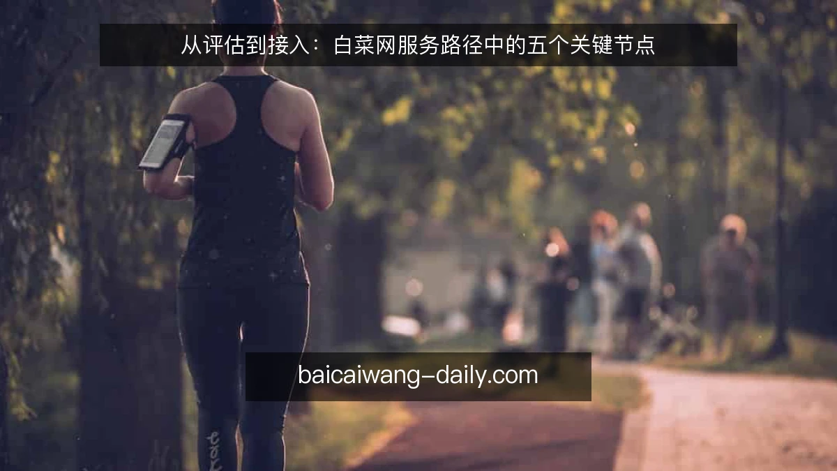 从评估到接入：白菜网服务路径中的五个关键节点