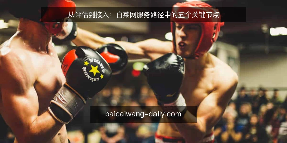 从评估到接入：白菜网服务路径中的五个关键节点 — 场景设定：从一次内部需求沟通开始 配图