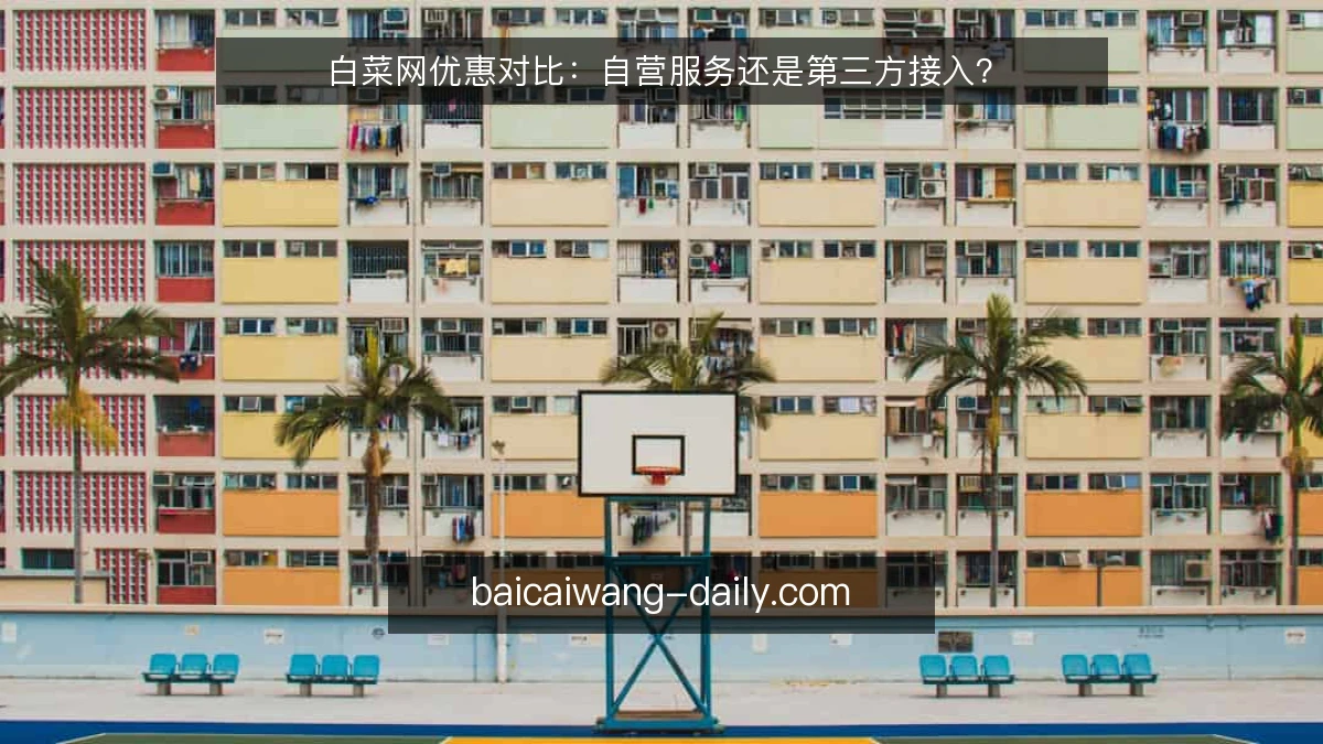 白菜网优惠对比：自营服务还是第三方接入？