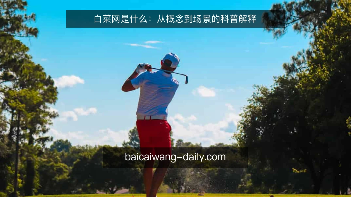 白菜网是什么:从概念到场景的科普解释