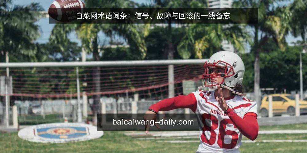 白菜网术语词条：信号、故障与回滚的一线备忘 — 信号词条：现场该盯哪些指标 配图