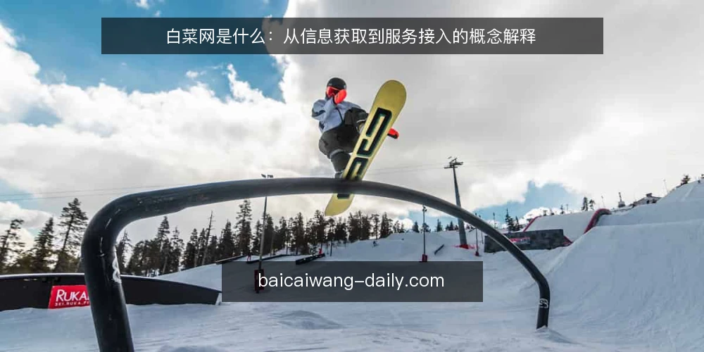 白菜网是什么：从信息获取到服务接入的概念解释 — 信息过载下的选择困境 配图