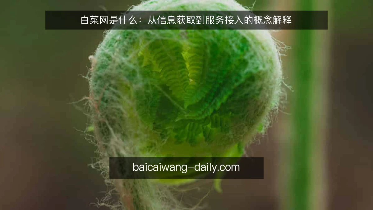 白菜网是什么：从信息获取到服务接入的概念解释